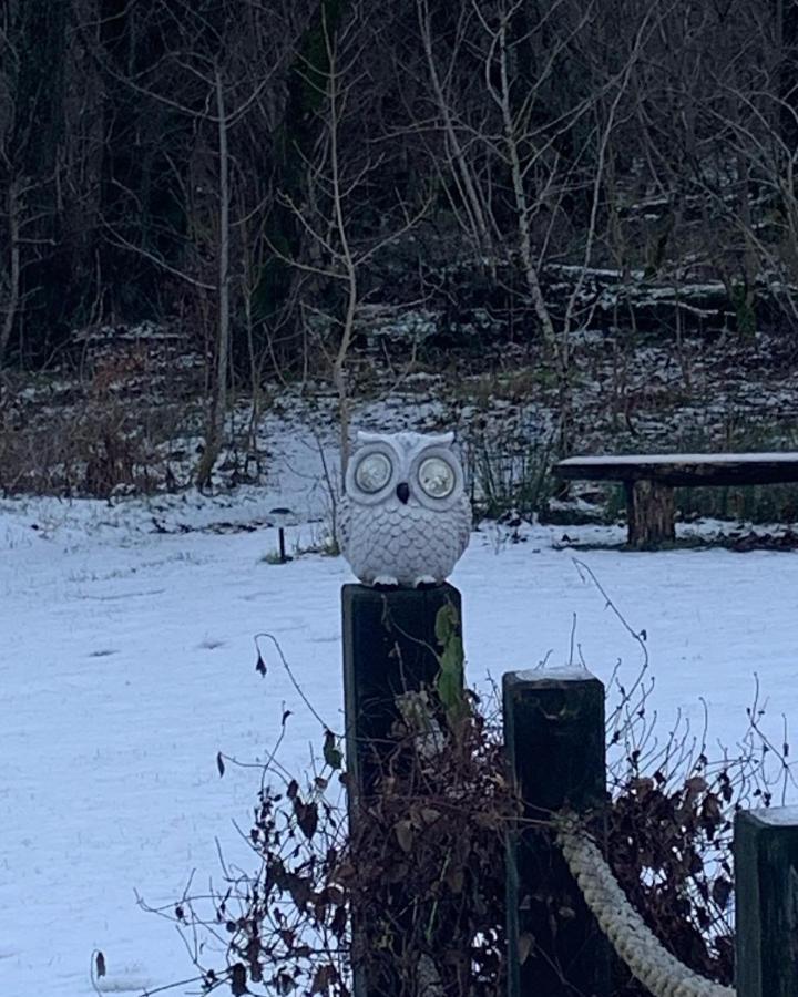 Owlswood Apartments Edinbane エクステリア 写真