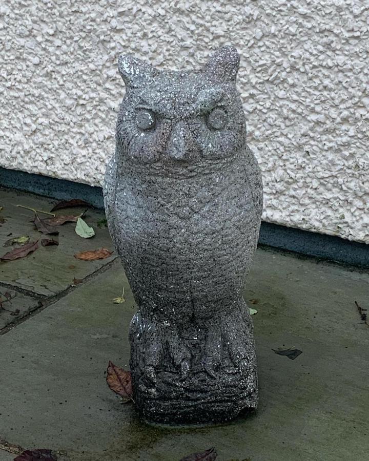 Owlswood Apartments Edinbane エクステリア 写真